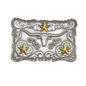 Boucle de ceinture 