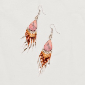 Boucles d'oreilles " wild horse " .