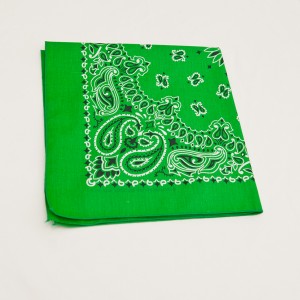 Bandana paisley " vert "