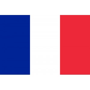 Drapeau " FRANCE "
