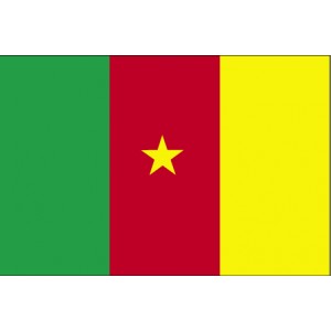 Drapeau du CAMEROUN