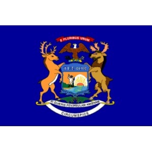 Drapeau du MICHIGAN